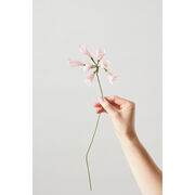 Pink African Lily paper flower